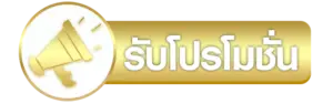 รับโปรโมชั่น